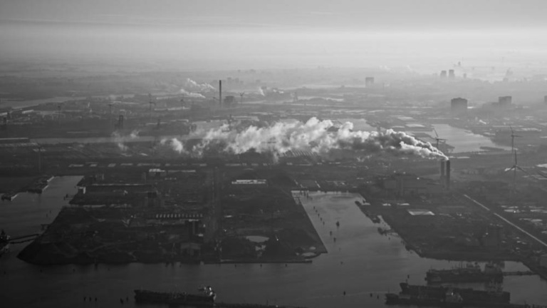 Amsterdam: tylko tulipany?