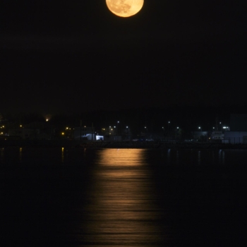 250315 Gd Fullmoon 184459 www