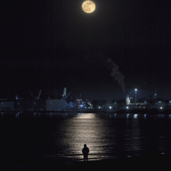 250315 Gd Fullmoon 190108 www 2