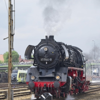 250503 Wolsztyn 143514 www