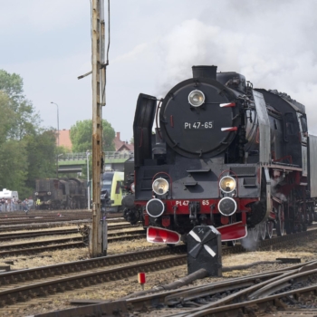 250503 Wolsztyn 143629 www 1