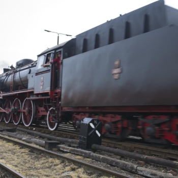 250503 Wolsztyn 144214 www 1