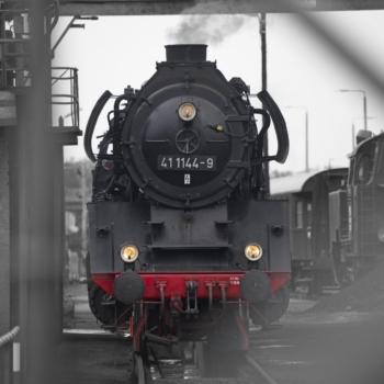 250503 Wolsztyn 161052 www