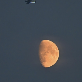 230826 Airshow 195005 www