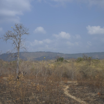 240202 Kamobo 3 trek 033326 www