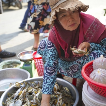 240207 Kamobo 6 Kampot 161848 www