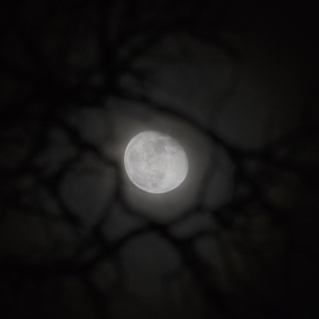 260105 Ło6I 231649 www