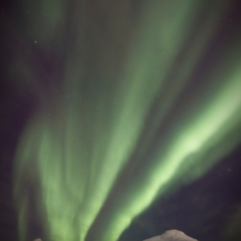 260213 Tromso 211136 www