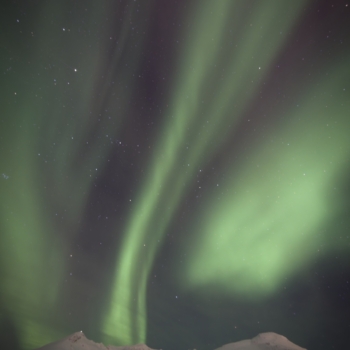260213 Tromso 212240 www