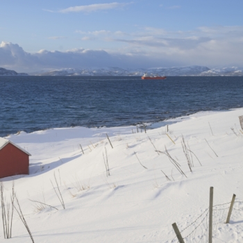 260214 Tromso 102420 www