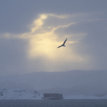 260214 Tromso 111902 www