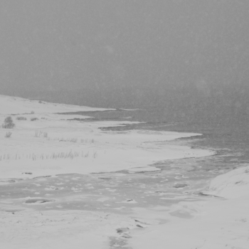 260214 Tromso 121420 www