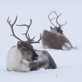 260214 Tromso 151659 www
