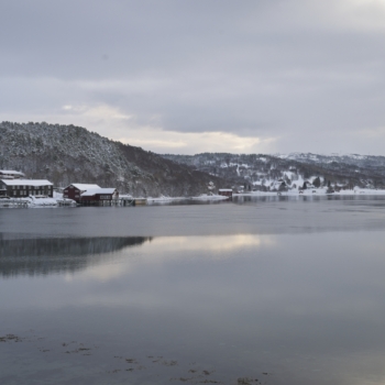 260215 Tromso 092608 www