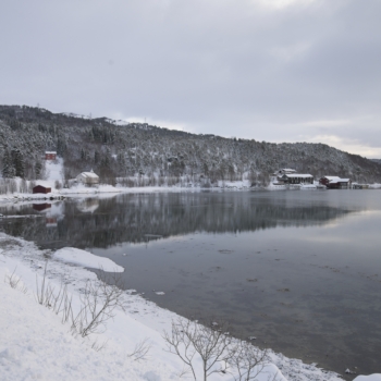 260215 Tromso 092726 www