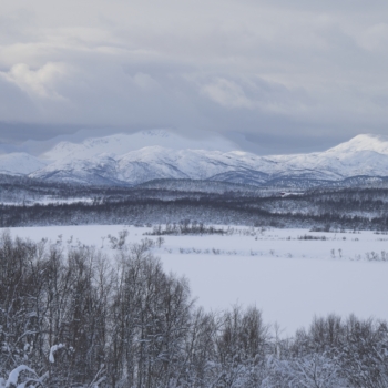 260215 Tromso 120457 www
