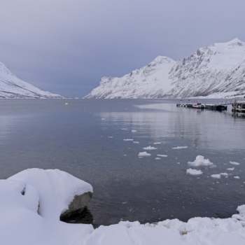 260216 Tromso 122259 www