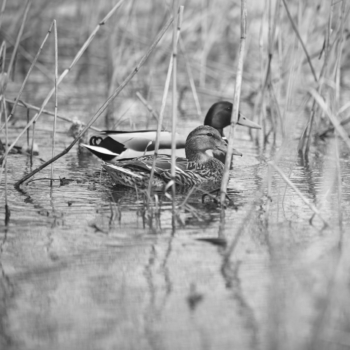 260405 Wielkanoc 130138 www
