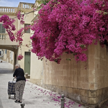 260513 Malta 132700 www