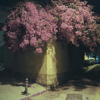 260513 Malta 225423 www