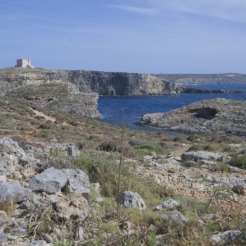 260516 Malta 162743 www