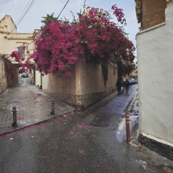 260517 Malta 090221 www